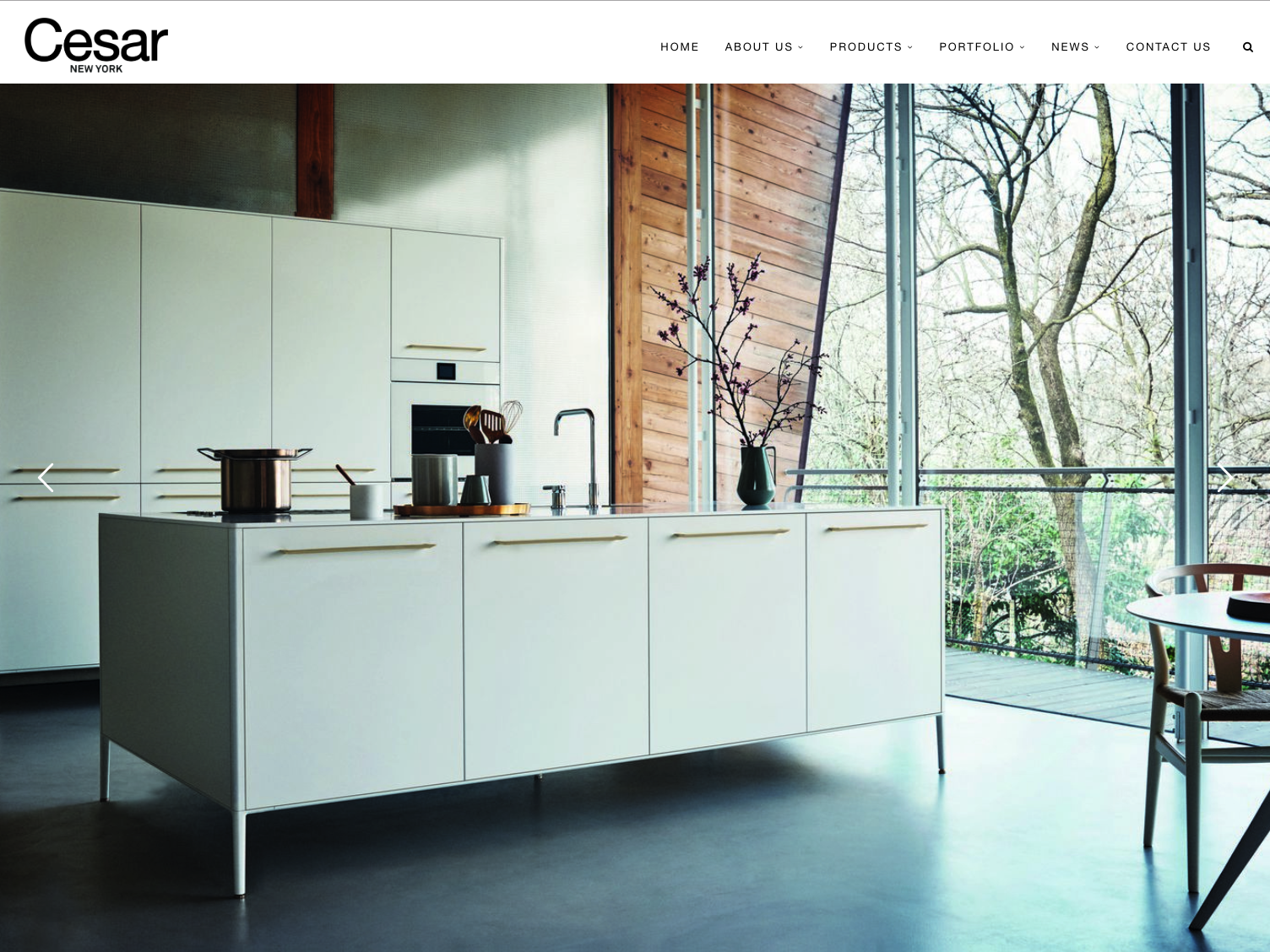 Cesar Kitchens Catalog Website Development