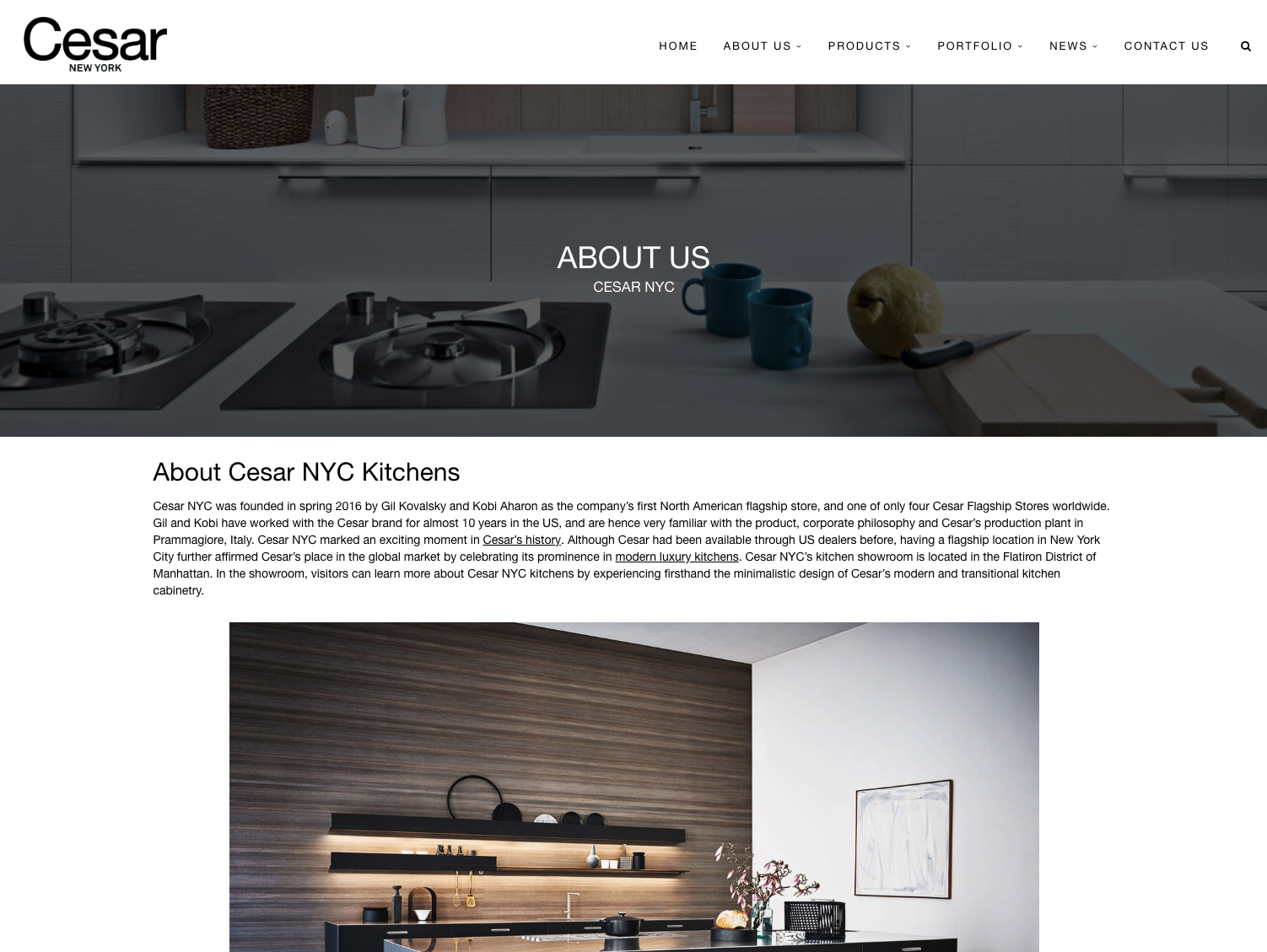 Cesar Kitchens Catalog Website Development
