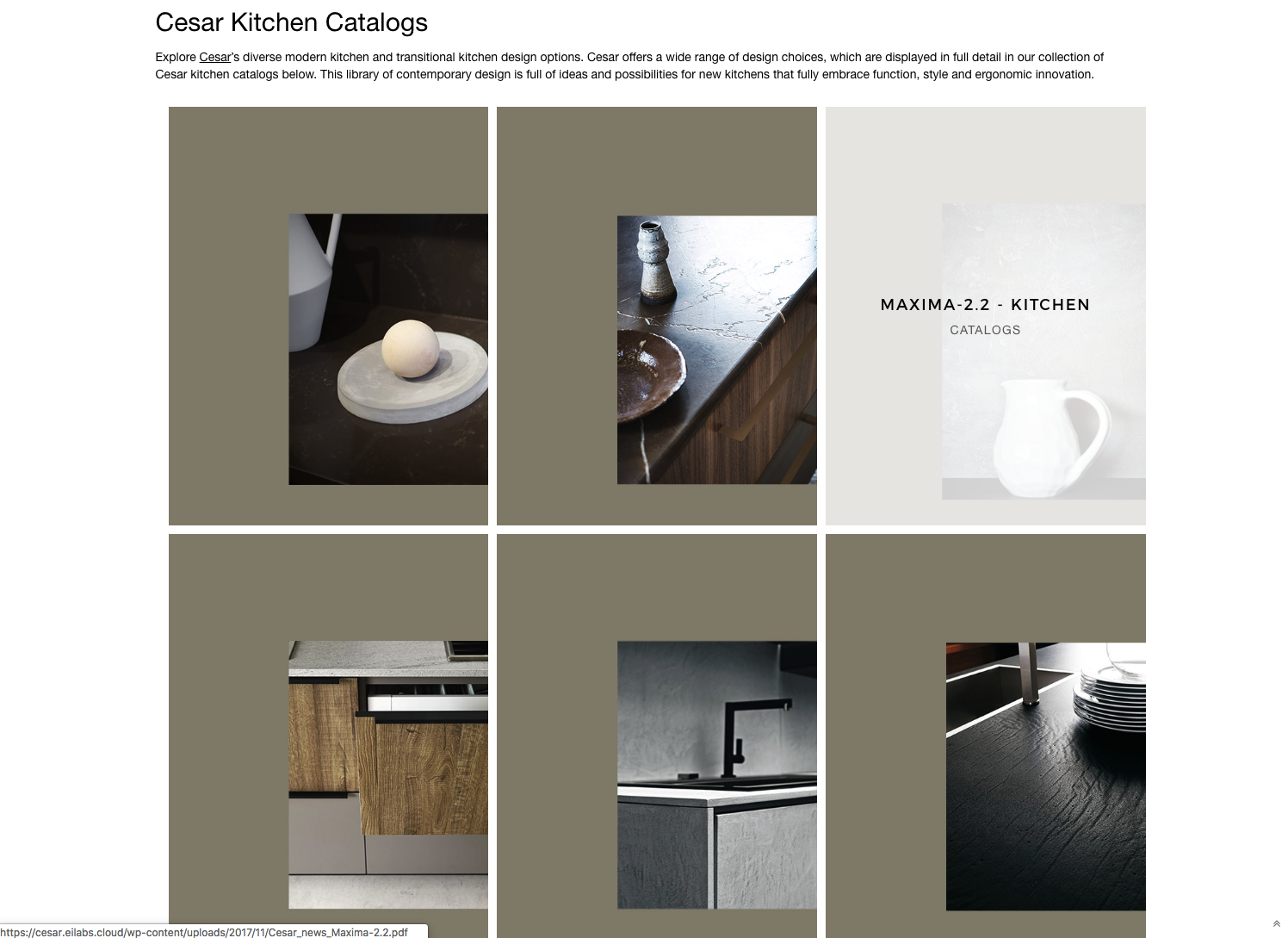 Cesar Kitchens Catalog Website Development