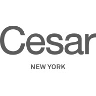 Cesar Kitchens New York